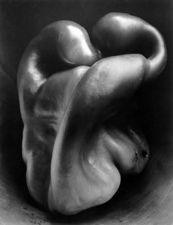 Edward Weston 1930